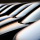 Motor Trade